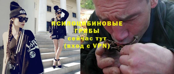 хмурый Аркадак