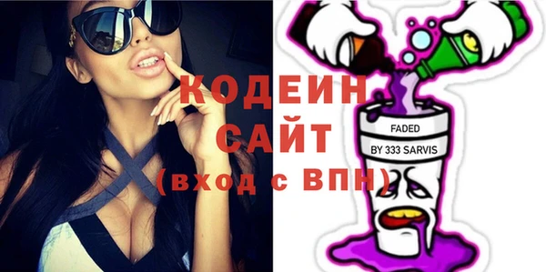 хмурый Аркадак