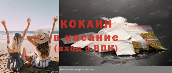 хмурый Аркадак
