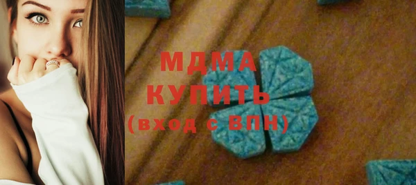 хмурый Аркадак