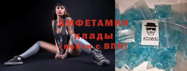 хмурый Аркадак
