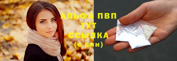 хмурый Аркадак