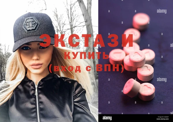 хмурый Аркадак