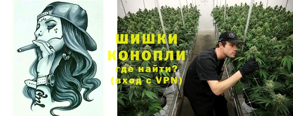 хмурый Аркадак