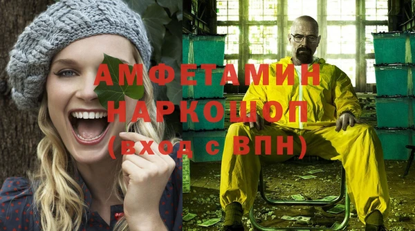 хмурый Аркадак